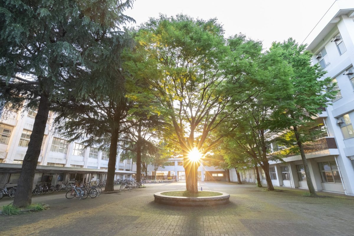 タイムカプセル