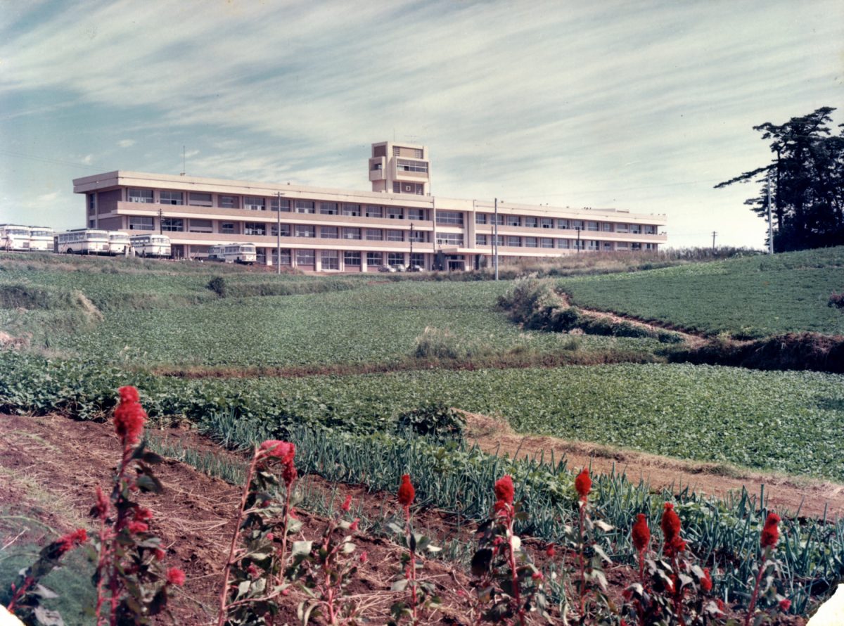 移転後の1号館<br />
1964(昭和39)年